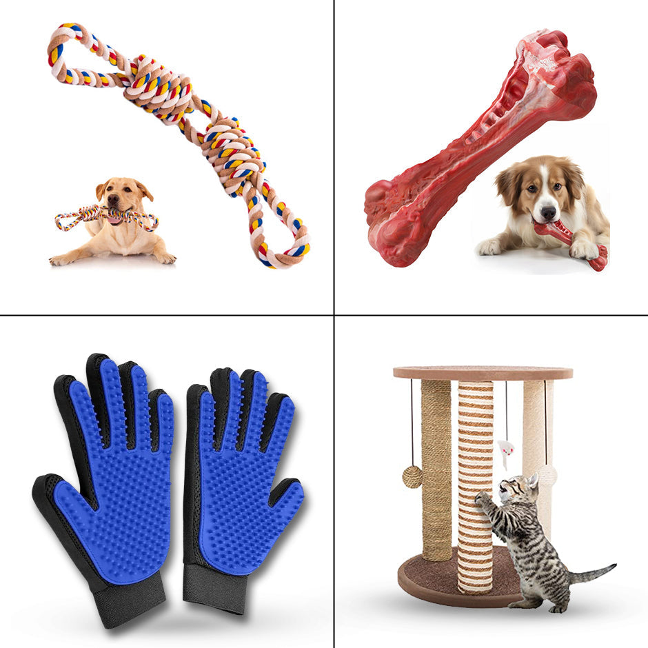 Pet Toys