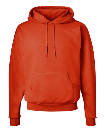 Hanes P170 Ecosmart Hooded Sweatshirt