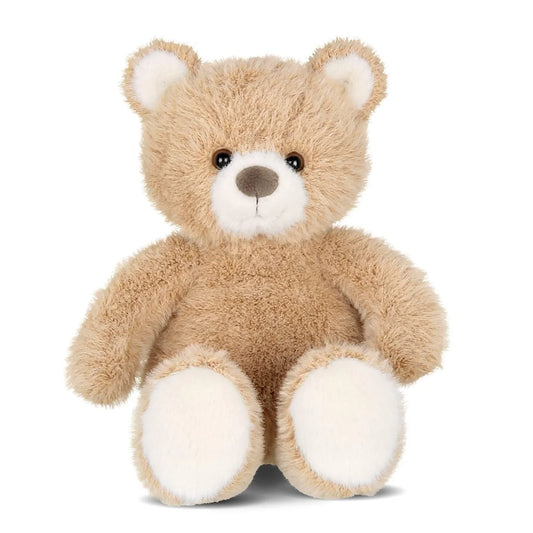 Classic Teddy Bear