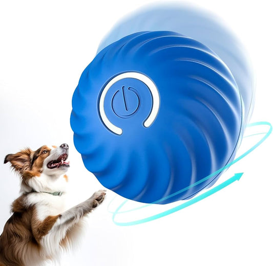 Interactive Ball